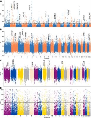 Analysis of genetic diversity and selection characteristics using the whole genome sequencing data of five buffaloes, including Xilin buffalo, in Guangxi, China